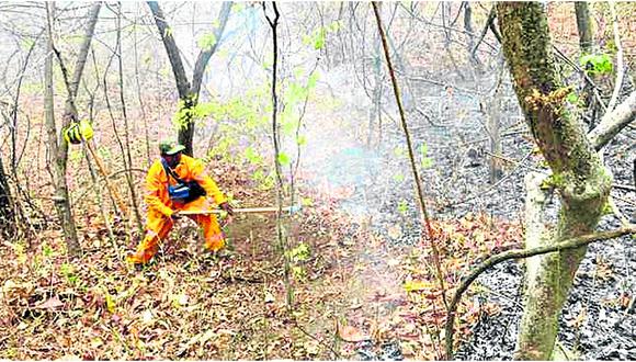 Bomberos y militares intentan controlar fuego forestal en Pampas