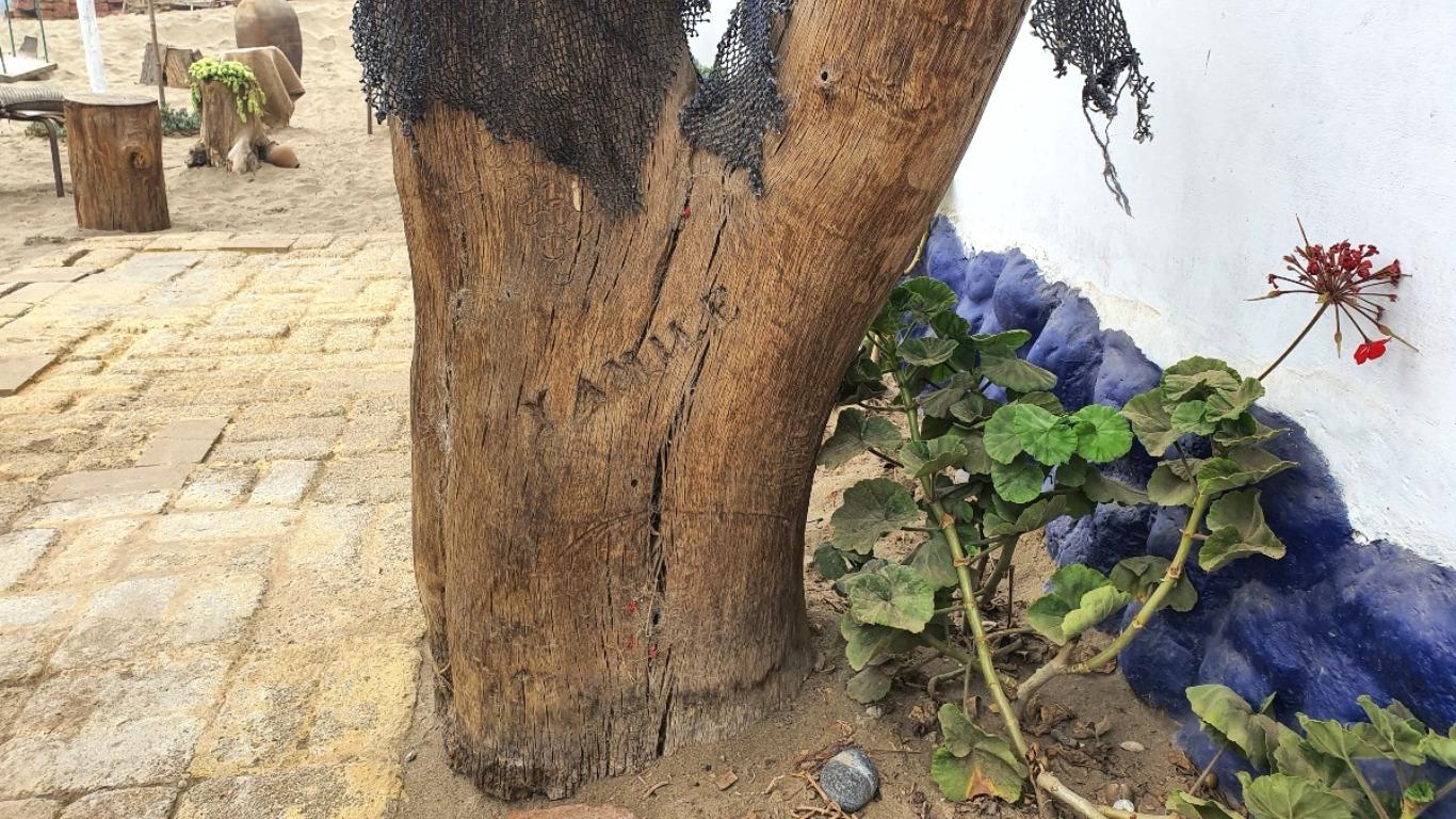 El nombre de su ser querido marcado en un árbol que encontró ahí cuando llegó. Foto: Bryan Ortiz.