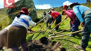 Pucará: campesinos mantienen vigente el uso de la chaquitaclla