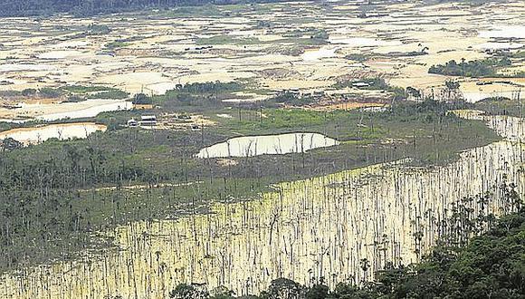 ​Récord de deforestación en Amazonía peruana en 2018 pese a ruegos del Papa Francisco