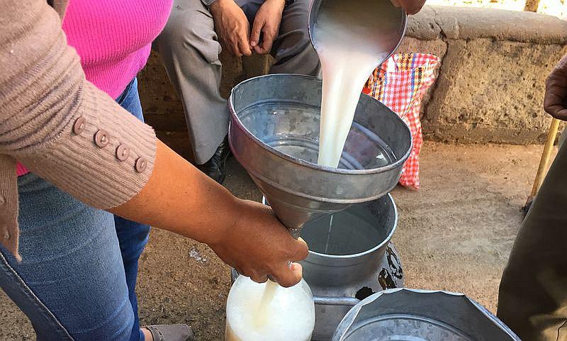 Gloria dejará de comprar leche a 5 mil ganaderos de Arequipa