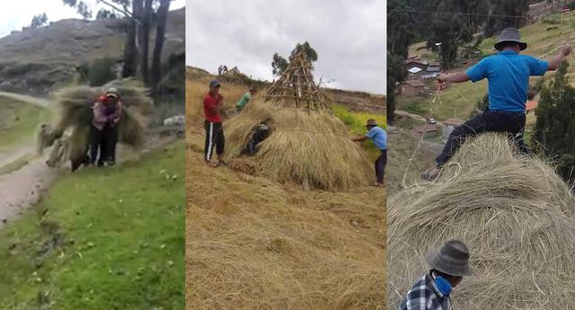 Ayacucho: Pobladores fabrican chozas de ichu para que retornantes cumplan cuarentena. (Foto: Facebook)