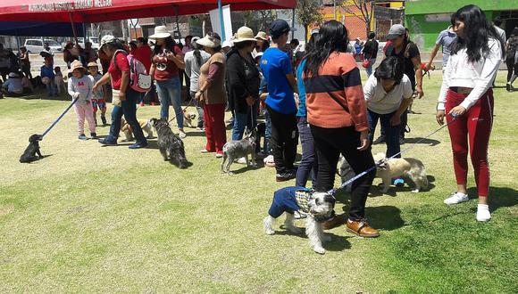 Quedan 200 mil perros por vacunar contra la rabia en Arequipa 