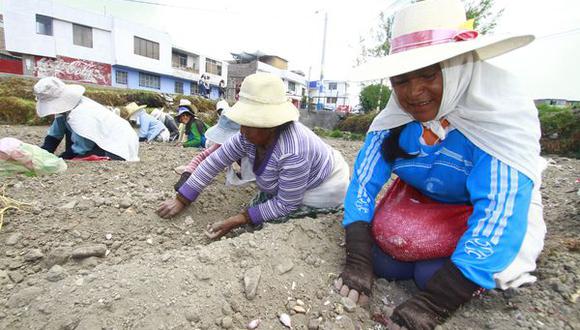 Arequipa: Siete mil agricultores   afectados por la reducción   del volumen del río Chili 