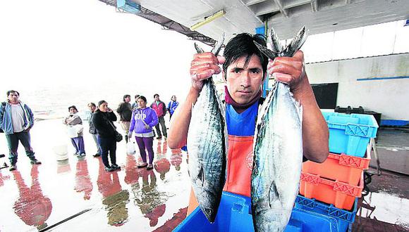 Pescadores rechazan veda de bonito y exigen se cumplan las 5 millas para pesca artesanal