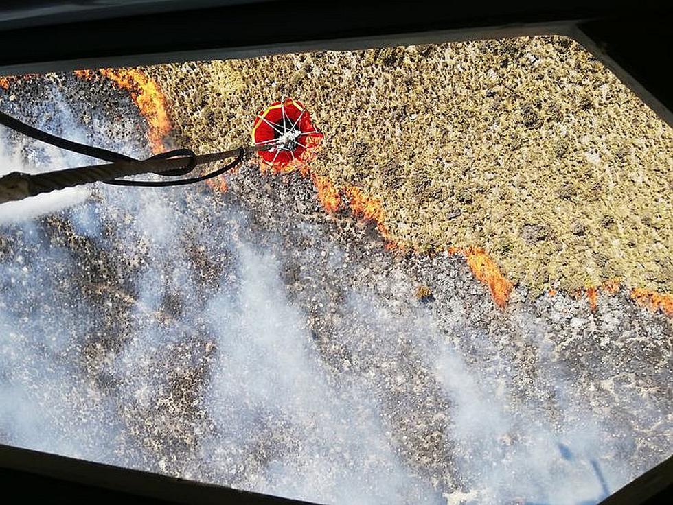 Incendio forestal: Fuego se reaviva en Arequipa y afecta a zonas de queñuales (FOTOS)