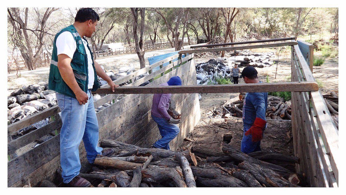 Decomisan camión con 700 trozas de algarrobo ilegal en carretera Piura-Chiclayo