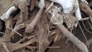 Ciclistas encuentran restos óseas humanos en un cerro en la provincia de Chincha