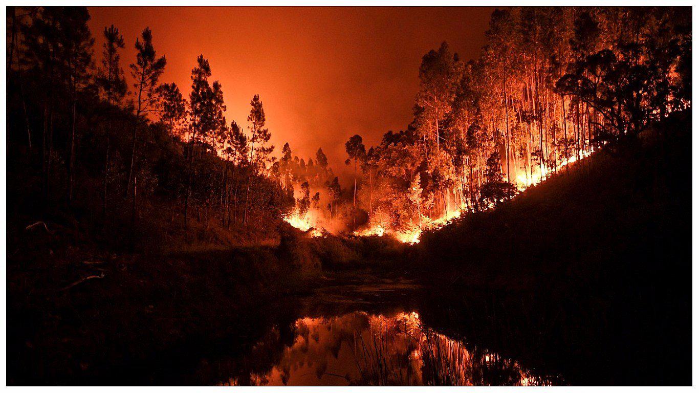 Portugal: al menos 62 muertos en inmenso incendio forestal "descontrolado" (VIDEO)