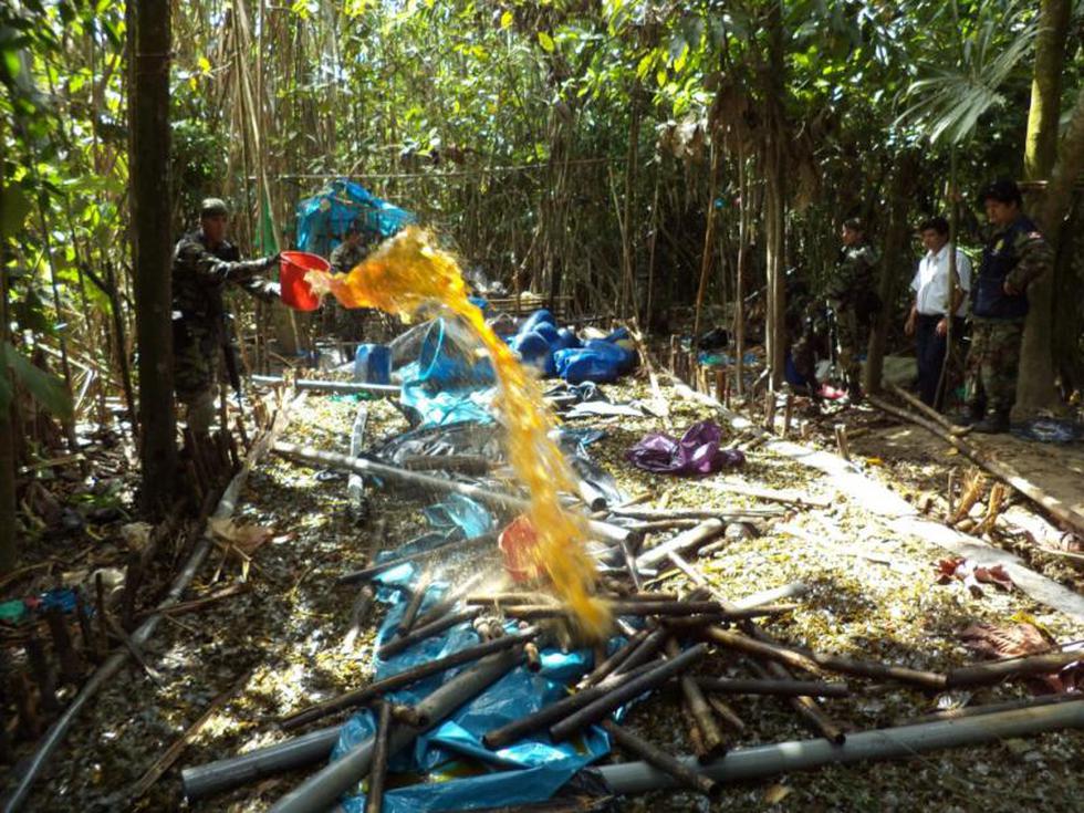 Destruyen insumos para droga en Monzón