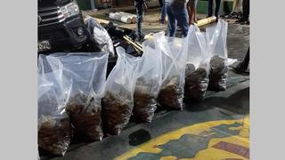 Decomisan media tonelada de droga en Desaguadero
