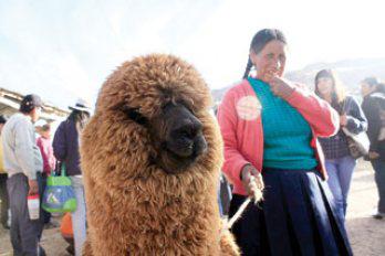 Huancaro, más variopinta que nunca