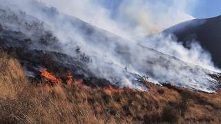 Incendio forestal continúa fuerte pese a combate aéreo y terrestre en Cusco (FOTOS)