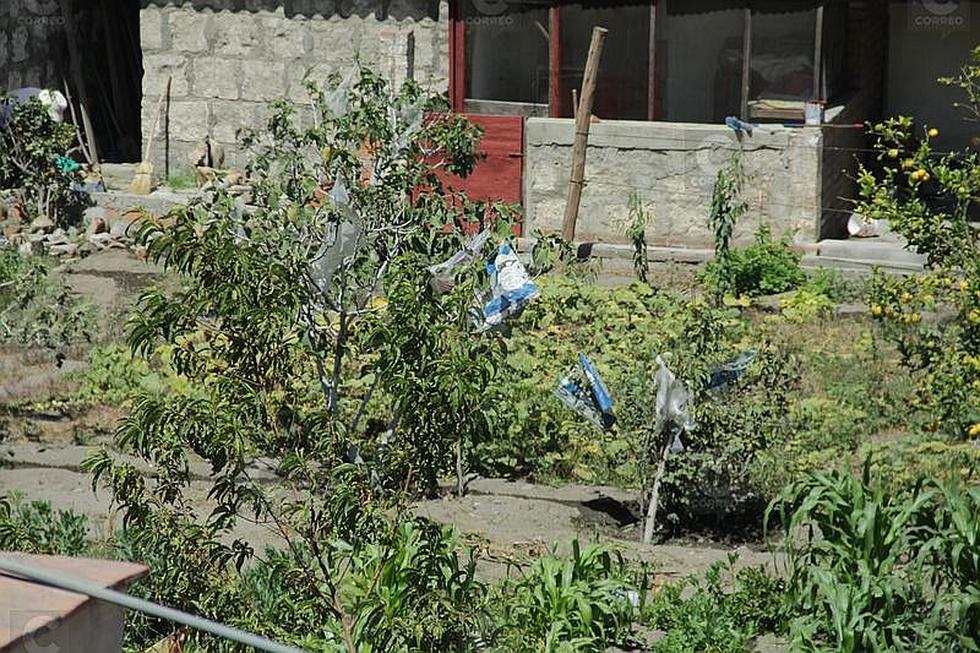 Religosas de Siervas de María necesitan apoyo de arequipeños para salvar templo (FOTOS)