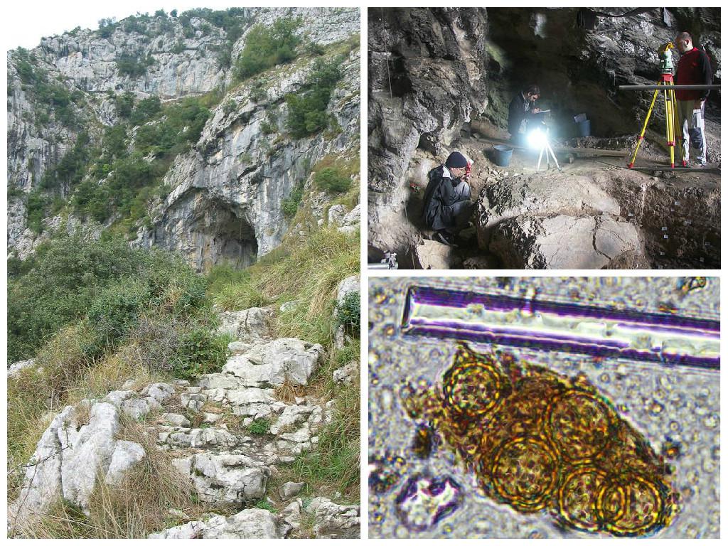 España: Encuentran vestigios de flores sobre una tumba del Paleolítico