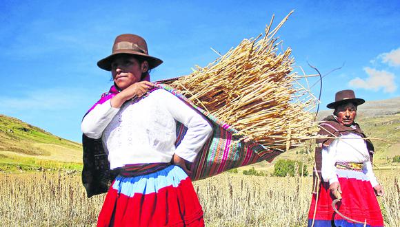 ​El  segundo idioma más hablado en el Perú es el quechua