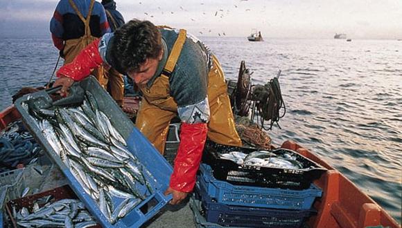 Produce buscará que pescadores artesanales realicen ventas digitales