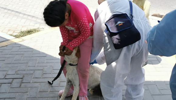 Los especialistas temen que aparezcan casos de rabia en humanos, por eso adelantaron la vacunación de perros en zonas focalizadas, para evitar la expansión del virus. (Foto: Geresa)