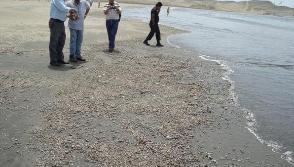 Huaral: Encuentran especies marinas muertas en la playa