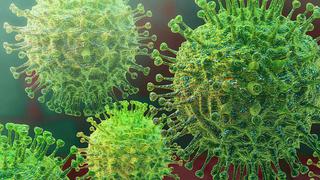 Región Puno no tendría infectados con coronavirus, según último reporte