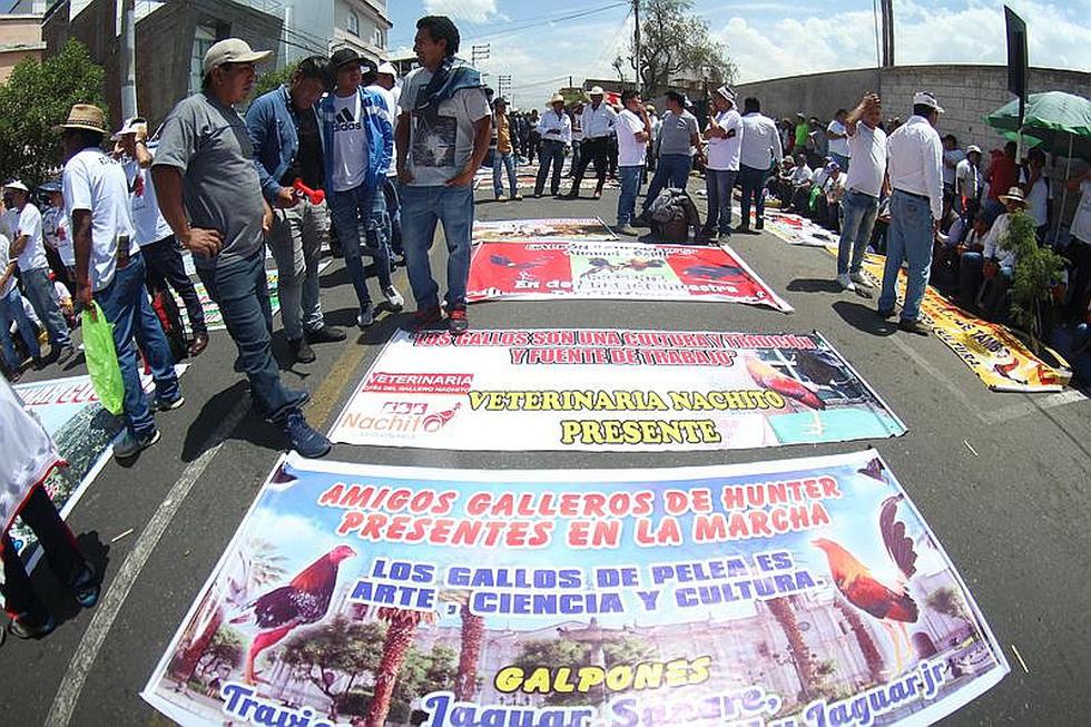 Criadores de Gallos y de Toros piden que se respeten las tradiciones (FOTOS y VIDEO)