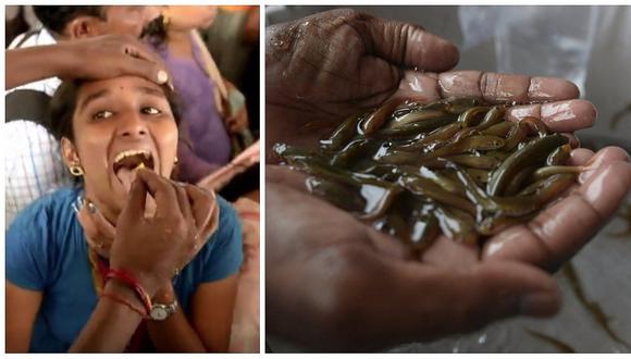 India: miles tragan un pez vivo como remedio para el asma (VIDEO)
