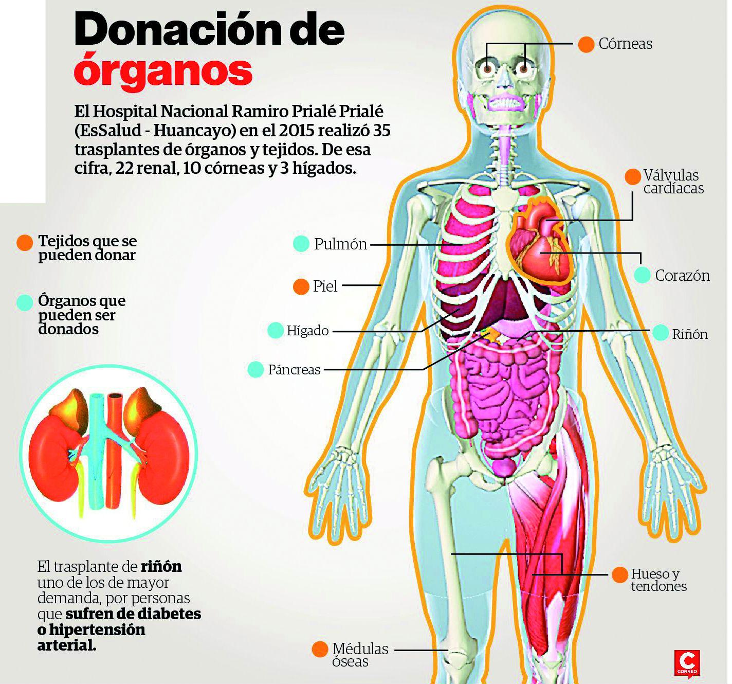 Trasplantes de riñón y córneas son los más requeridos 