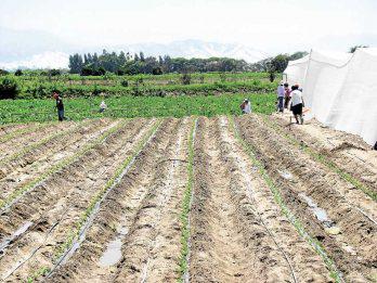 Incidente peligroso se comunicará