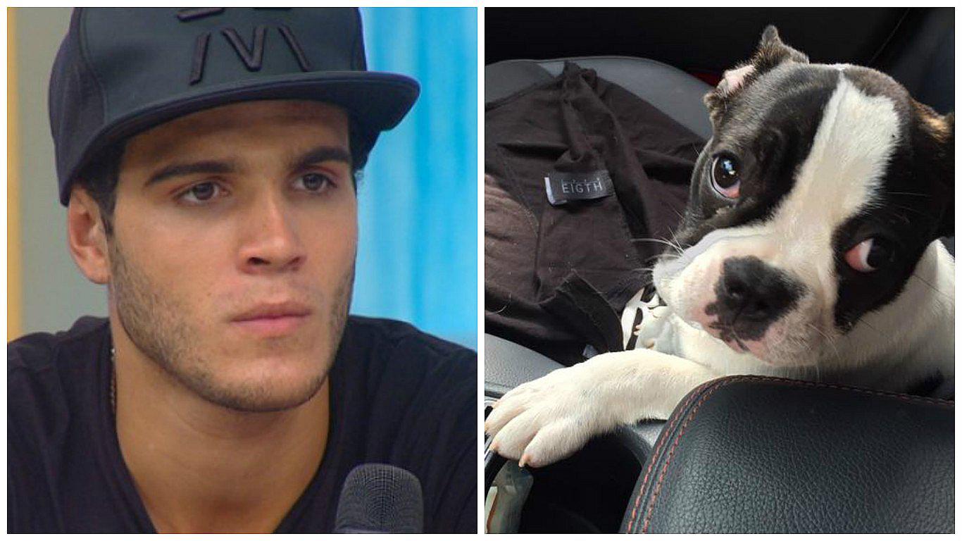 Facebook: Mario Irivarren pide ayuda para encontrar a su perrita perdida [FOTO]