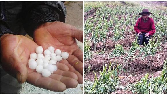 Cusco: Granizada destroza cultivos en comunidades altoandinas