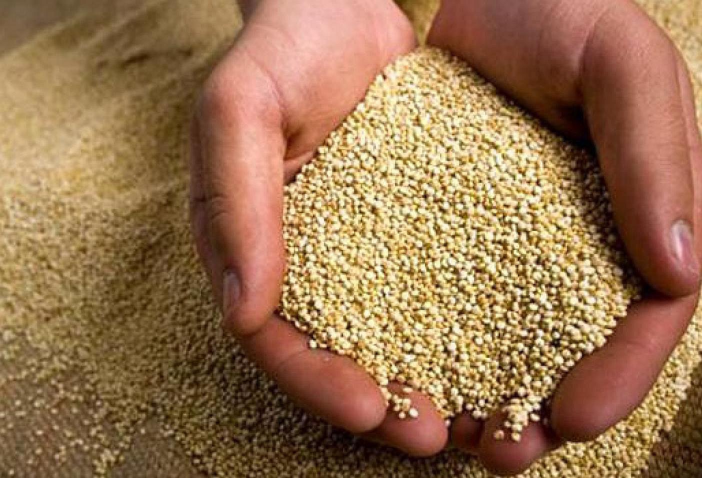 Cultivos de quinua y papa crecerán en más de 2% en Puno
