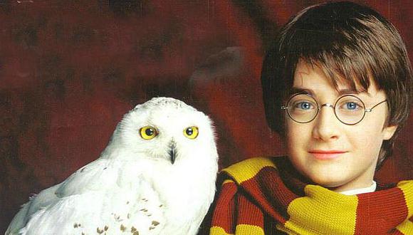 Harry Potter, el gran culpable del tráfico ilegal de lechuzas
