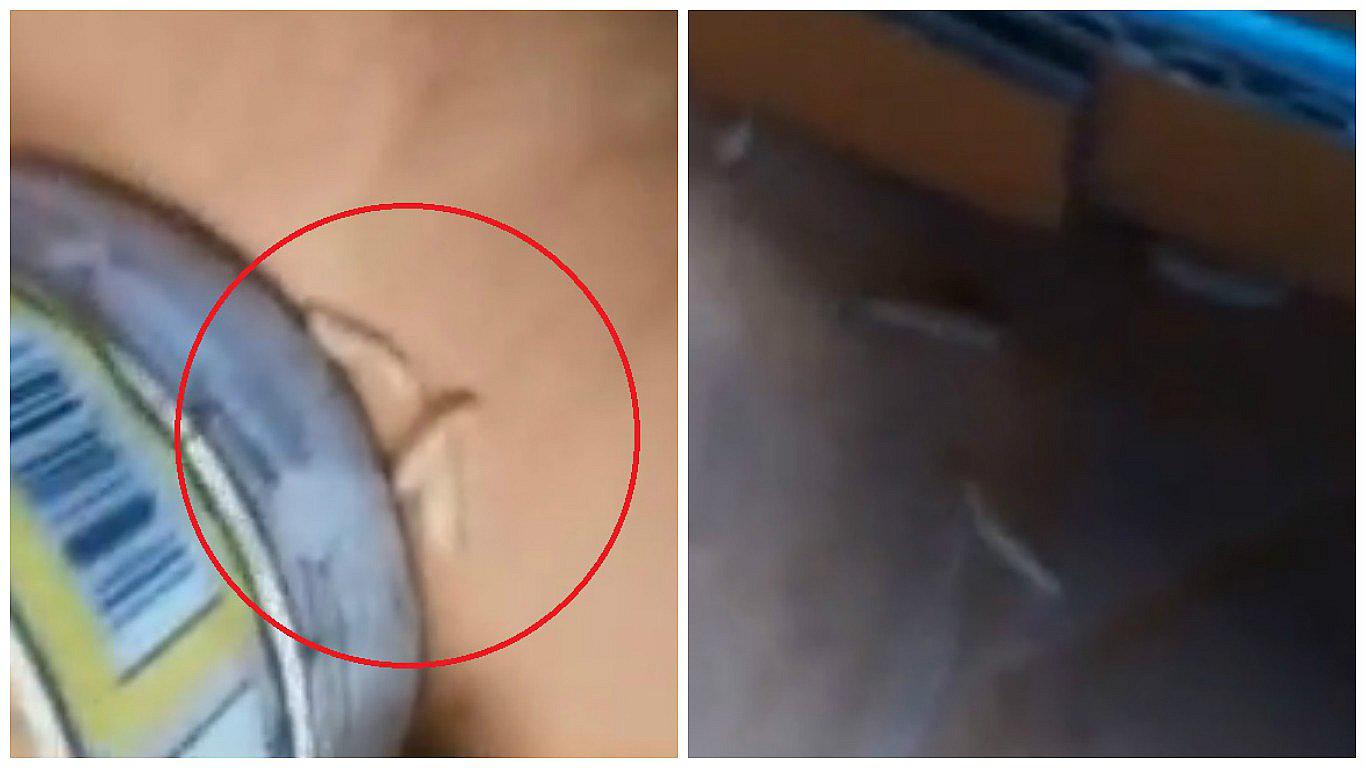 Qali Warma: Larvas son halladas en conserva de pollo destinadas a escolares (VIDEO)