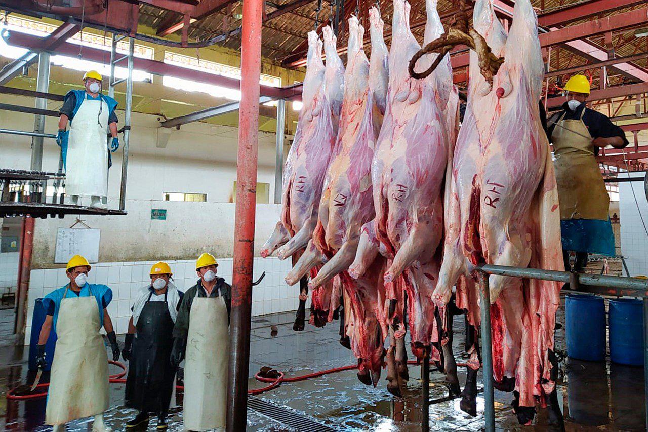 Verifican camal municipal de Cusco y garantizan limpieza de carne que sale al mercado