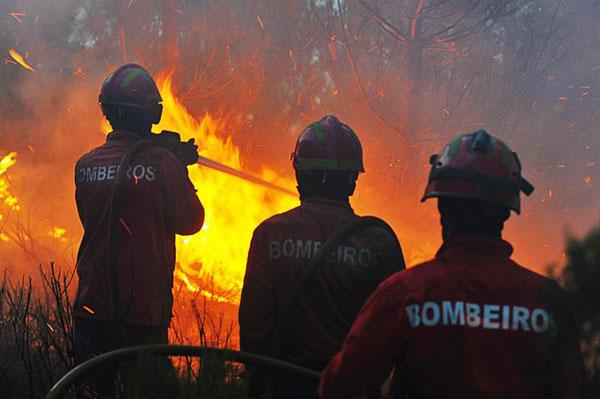 Portugal pide ayuda para combatir incendios forestales