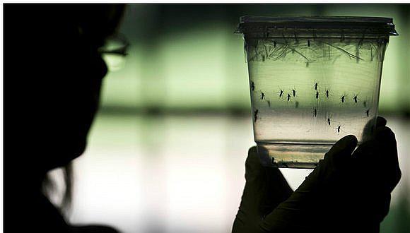 ​Estados Unidos: Científicos localizan anticuerpos que protegerían del zika