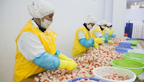 La norma sanitaria para conchas de abanico impulsará las exportaciones de Piura