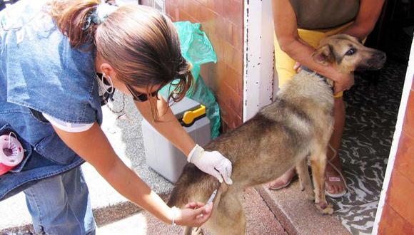 Vacunan canes en La Joya