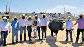 Toros y tradición en el distrito de Socabaya