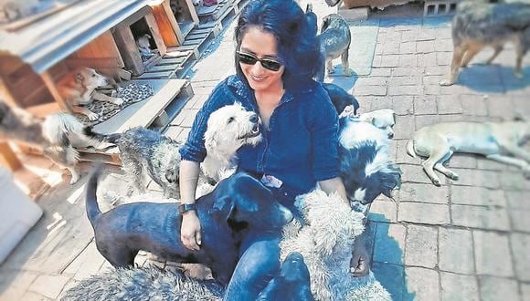 Silvia Pari Macedo dejó su carrera y el negocio familiar para dedicarse al centro de rehabilitación canina pequeños héroes. (Foto: Difusión)