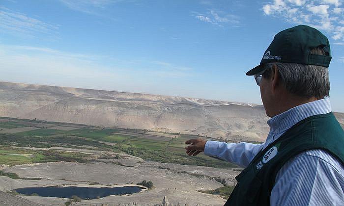 Arequipa: tres mil hectáreas de alcachofa en riesgo por deslizamientos 