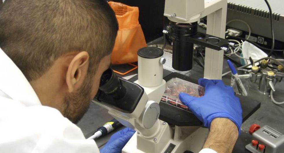 Oms Probará Vacuna Contra El ébola Fabricada En Canadá Mundo Correo