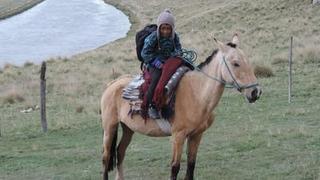 Diego, un niño de 7 años que recorre 10 kilómetros en caballo para ir a su colegio (VIDEO)