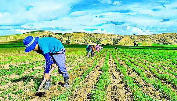Minagri: Sector agropecuario crecerá más de 4%