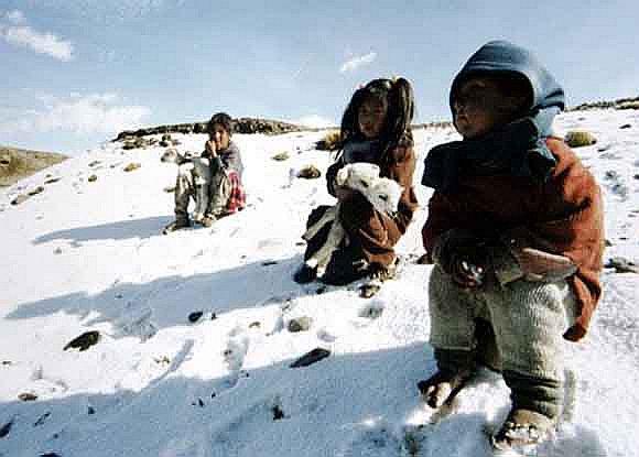 Plan contra Heladas y Friaje no logra apoyo en la región Puno