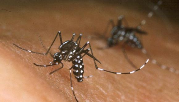 Declaran en emergencia sanitaria 51 distritos del país por brote de dengue.