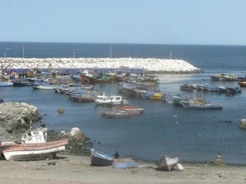 Proponen Canon Pesquero para Tacna