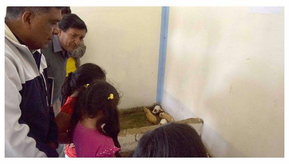 Trujillo: Alumnos de Galindo aprenden sobre crianza de cuyes para generar recursos propios