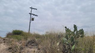 Ayacucho: Detectan instalaciones clandestinas de energía eléctrica