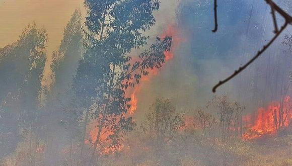 Incendio arrasa con un bosque en Agallpampa 